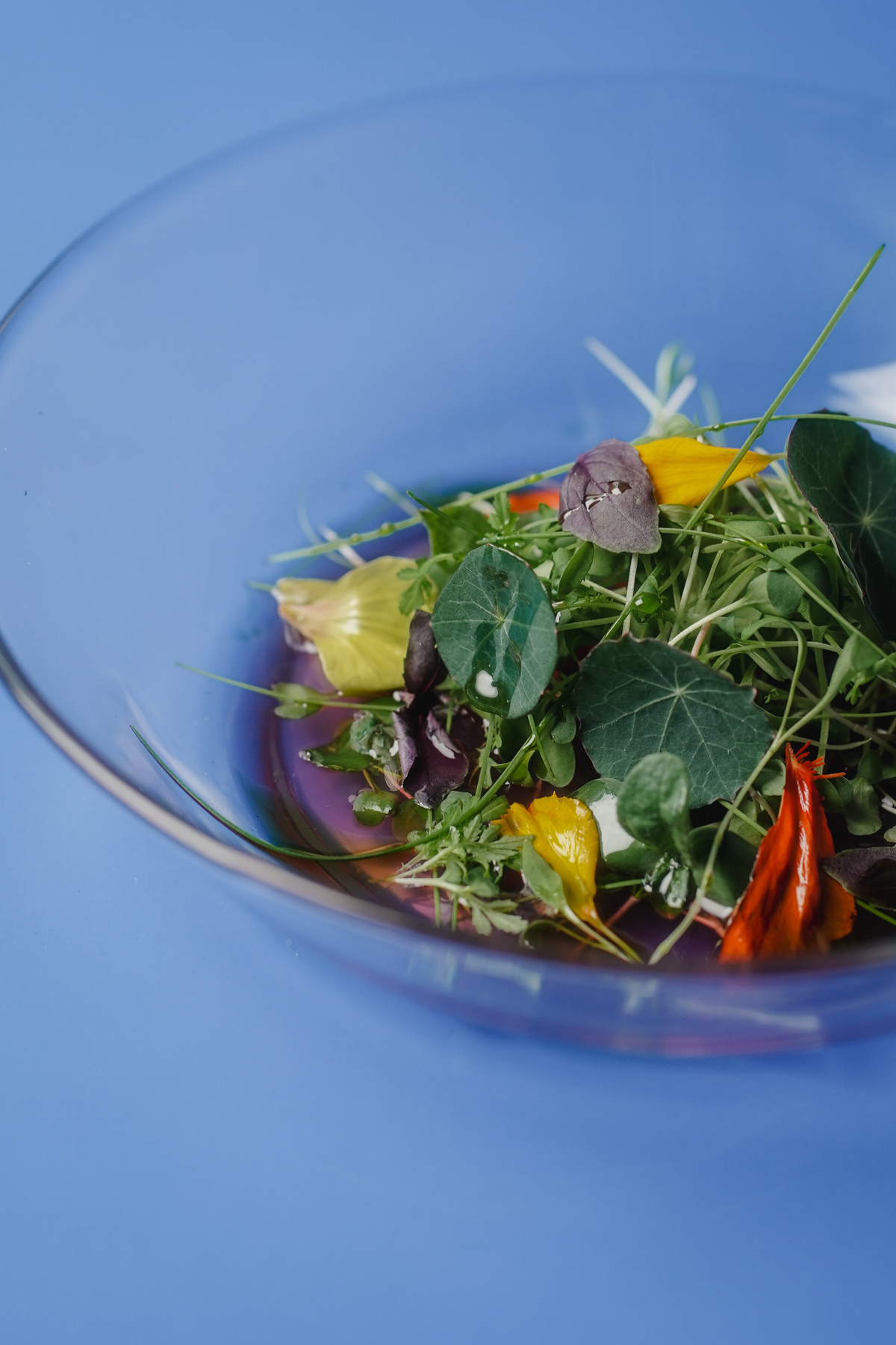 Tanaman Restaurant micro green salad