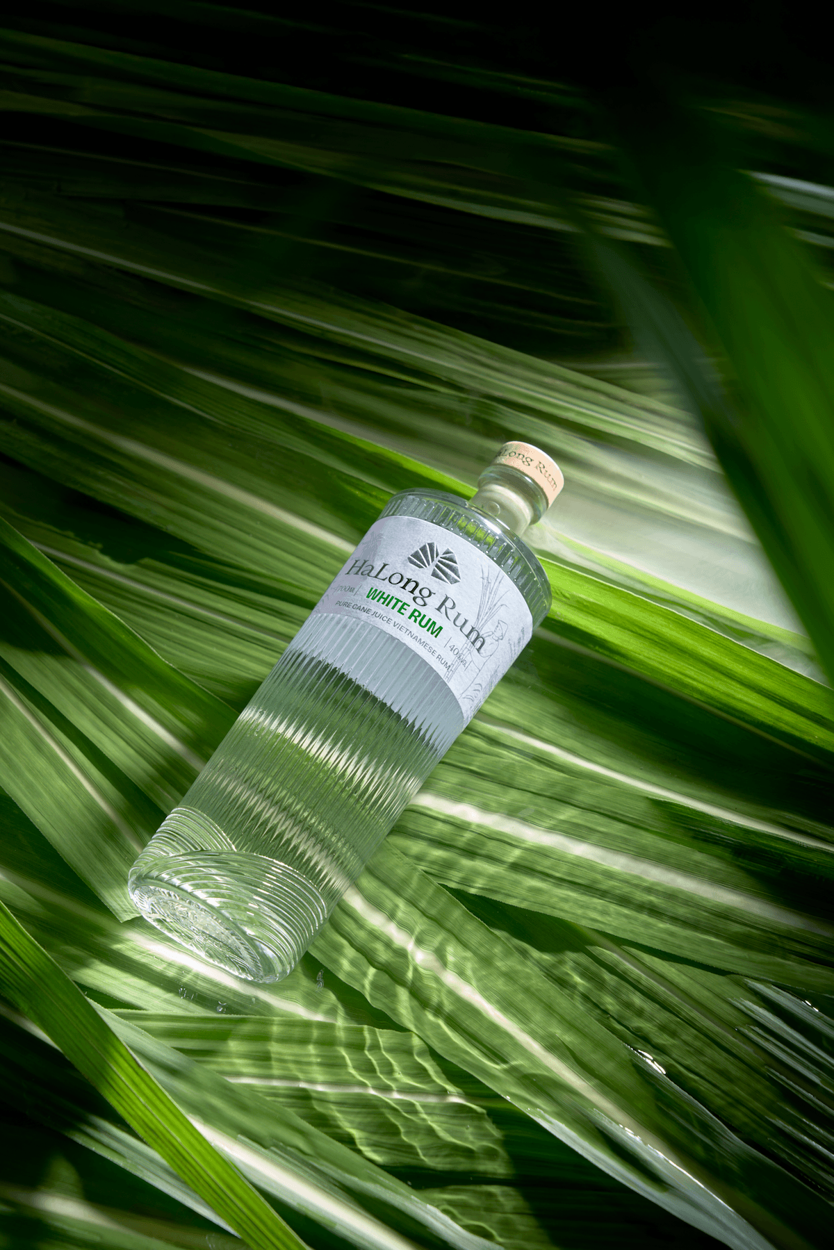 A bottle on some leaves.